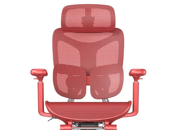 Executive Ergonomic Chair Model AE-Elite