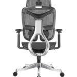 Aether A009 Ergonomic Mesh Office Chair