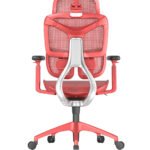 Aether A009 Ergonomic Mesh Office Chair